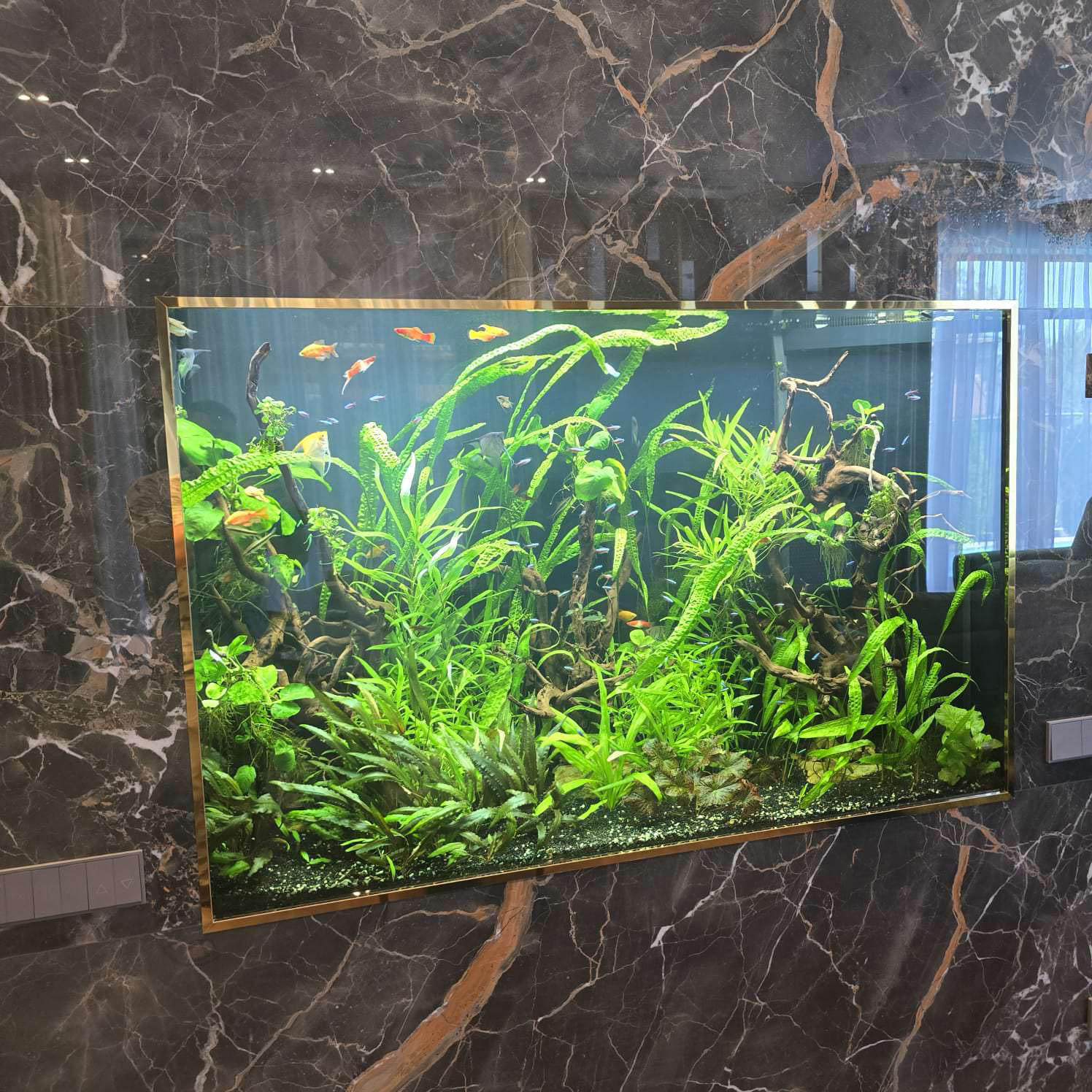 Аквариумы морские и пресноводные